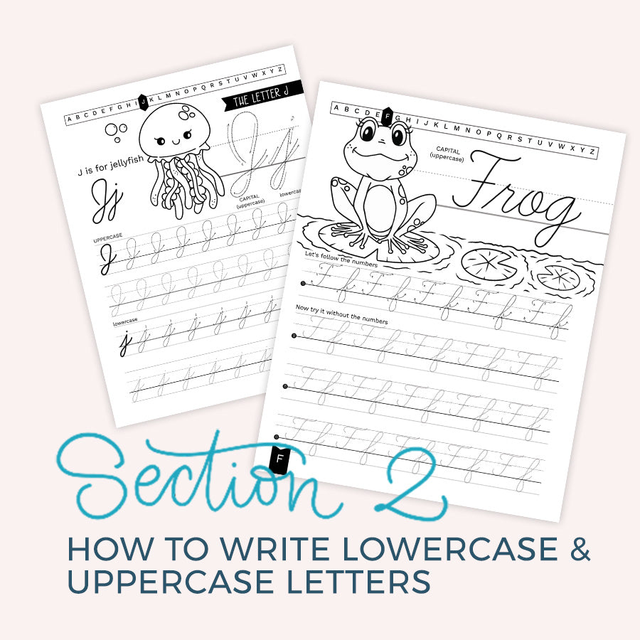 Cursive Handwriting Basics for Kids Workbook - howjoyfulshop